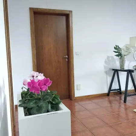 Villa Paraiso Hills - Encostas Do Paraiso: Tranquilidade No Douro *