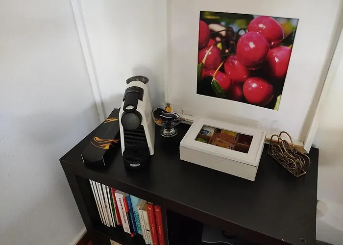 Paraiso Hills - Encostas Do Paraiso: Tranquilidade No Douro * 레센데